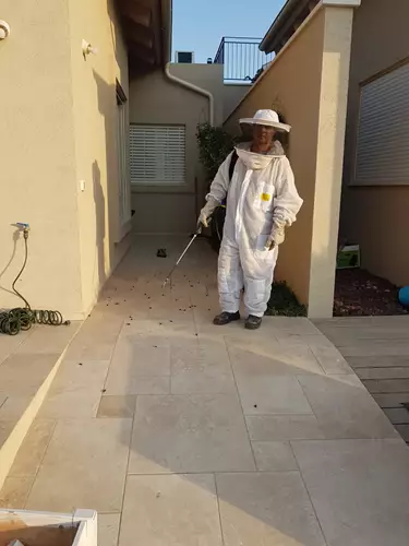 הדברת מזיקים בדירה 2